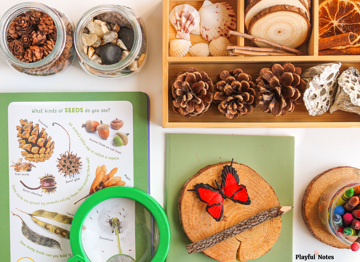 Nature activities for kids: 14 easy and fun ways to explore nature