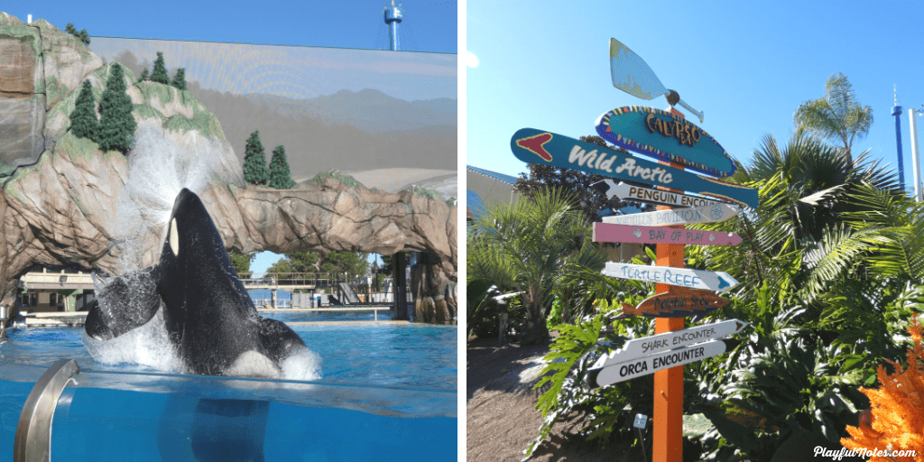 things to do in San Diego with kids